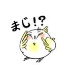 うざインコ（個別スタンプ：31）