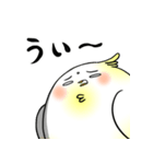 うざインコ（個別スタンプ：37）