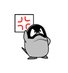 ペンギンのコペン（個別スタンプ：35）