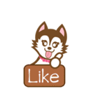 Brownie（個別スタンプ：9）