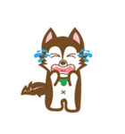 Brownie（個別スタンプ：12）