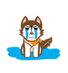 Brownie（個別スタンプ：30）