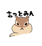三河弁だに ぷくぷくリス子ちゃん（個別スタンプ：22）