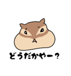 三河弁だに ぷくぷくリス子ちゃん（個別スタンプ：25）