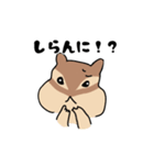 三河弁だに ぷくぷくリス子ちゃん（個別スタンプ：26）