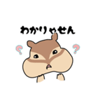 三河弁だに ぷくぷくリス子ちゃん（個別スタンプ：27）