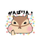 三河弁だに ぷくぷくリス子ちゃん（個別スタンプ：36）