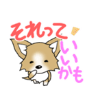 チワワ 犬スタンプ3（個別スタンプ：4）