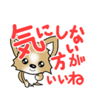 チワワ 犬スタンプ3（個別スタンプ：11）