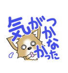 チワワ 犬スタンプ3（個別スタンプ：12）