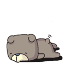 ！くまたろ！2（個別スタンプ：40）