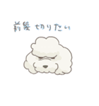 toy poodle pooo（個別スタンプ：13）