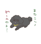 toy poodle pooo（個別スタンプ：27）