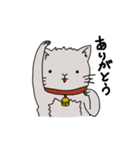 猫のデップ（個別スタンプ：8）