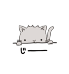 猫のデップ（個別スタンプ：15）