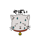 猫のデップ（個別スタンプ：22）