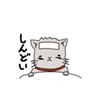 猫のデップ（個別スタンプ：37）