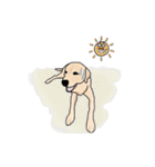 "White" The Lonely Dog（個別スタンプ：28）