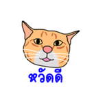 Meow indy cat（個別スタンプ：1）