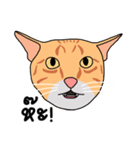 Meow indy cat（個別スタンプ：14）