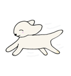 犬のリンちゃん（個別スタンプ：23）