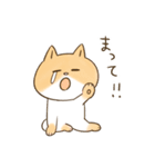 しばねこのミギョン その2（個別スタンプ：4）