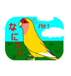 Daily life of CHOBIN of a parakeet.（個別スタンプ：4）