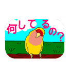 Daily life of CHOBIN of a parakeet.（個別スタンプ：5）