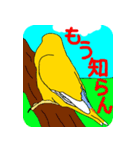 Daily life of CHOBIN of a parakeet.（個別スタンプ：6）