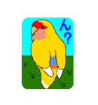 Daily life of CHOBIN of a parakeet.（個別スタンプ：7）