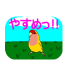 Daily life of CHOBIN of a parakeet.（個別スタンプ：10）