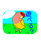 Daily life of CHOBIN of a parakeet.（個別スタンプ：13）