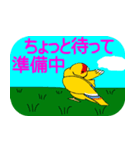 Daily life of CHOBIN of a parakeet.（個別スタンプ：15）