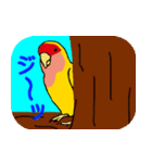 Daily life of CHOBIN of a parakeet.（個別スタンプ：17）