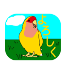 Daily life of CHOBIN of a parakeet.（個別スタンプ：24）