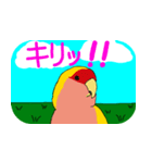 Daily life of CHOBIN of a parakeet.（個別スタンプ：25）