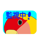 Daily life of CHOBIN of a parakeet.（個別スタンプ：26）