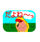 Daily life of CHOBIN of a parakeet.（個別スタンプ：28）