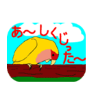 Daily life of CHOBIN of a parakeet.（個別スタンプ：31）