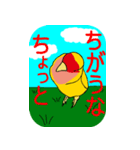 Daily life of CHOBIN of a parakeet.（個別スタンプ：36）