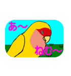 Daily life of CHOBIN of a parakeet.（個別スタンプ：37）