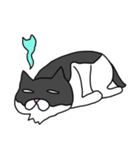 やさぐれ猫（個別スタンプ：22）