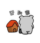 Grey Bear ！（個別スタンプ：19）