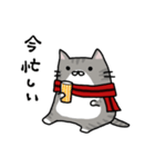 ぽちゃ猫サポーター生活2（個別スタンプ：20）
