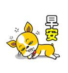 The yellow dog（個別スタンプ：14）