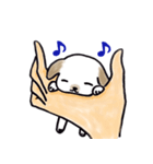 手乗り犬（個別スタンプ：10）