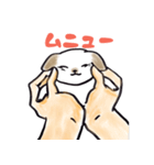 手乗り犬（個別スタンプ：13）