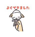 手乗り犬（個別スタンプ：17）
