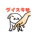 手乗り犬（個別スタンプ：19）