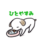 手乗り犬（個別スタンプ：24）